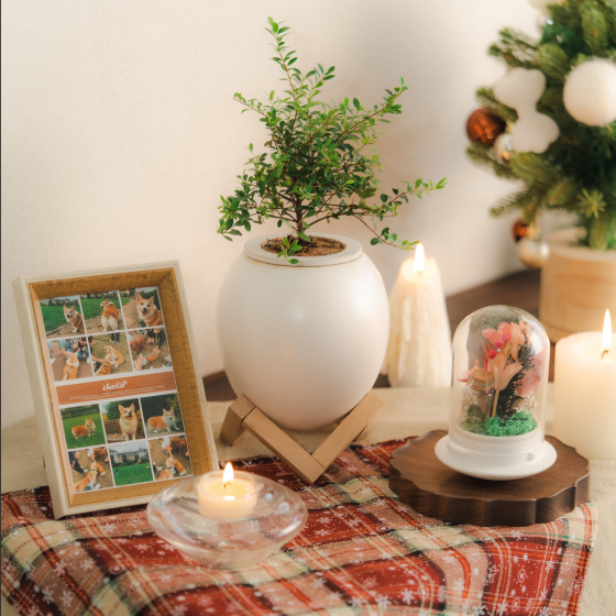 Ceramic Egg-Shaped Pet Urn & Memorial Planter